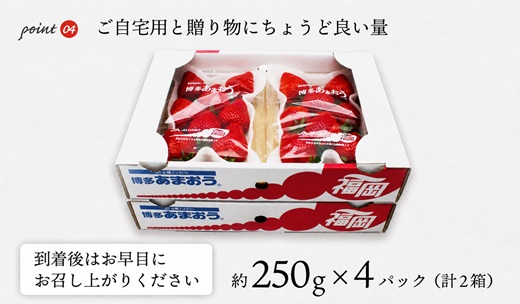 【2027年1月3日・4日・5日発送】博多あまおう 約250g×4P[H2262]