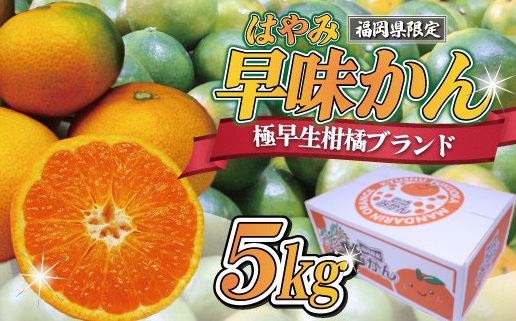 【2026年9月中旬より順次発送】JAむなかたブランドみかん（早味かん）約5kg[H2281]