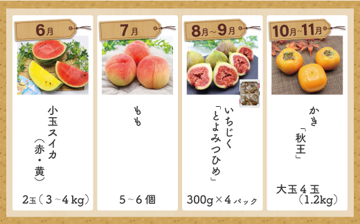 福岡県旬のフルーツ定期便【年10回コース】【1～2月開始】[H5261]
