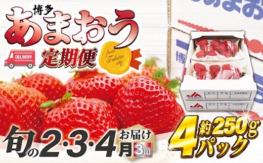 【2027年2～4月発送】博多あまおう4パック3回定期便 約1kg×3回[H5342]