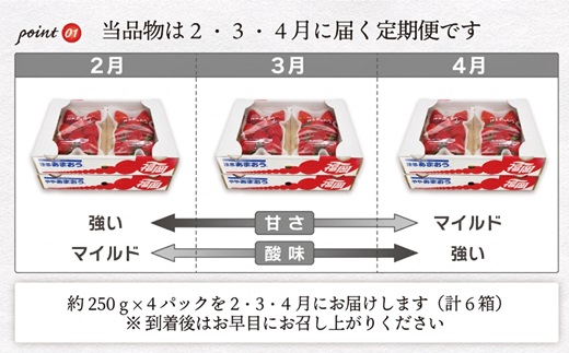 【2027年2～4月発送】博多あまおう4パック3回定期便 約1kg×3回[H5342]