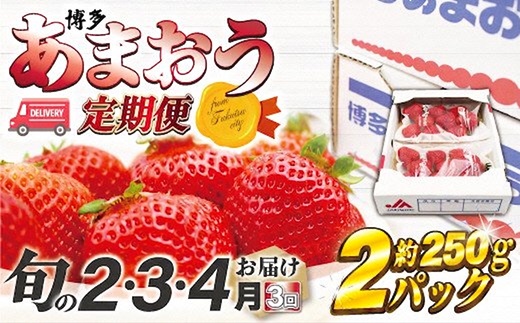 【2027年2～4月発送】博多あまおう2パック3回定期便 約500g×3回[H5352]
