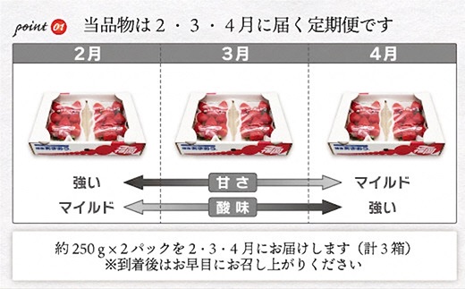 【2027年2～4月発送】博多あまおう2パック3回定期便 約500g×3回[H5352]