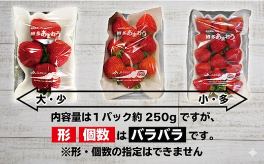 【2027年2～4月発送】博多あまおう2パック3回定期便 約500g×3回[H5352]