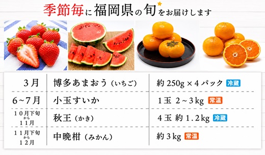 【年4回春夏秋冬】福岡旬のフルーツ定期便（3・6～7・10～11・11～12月）【随時開始】[H5360]