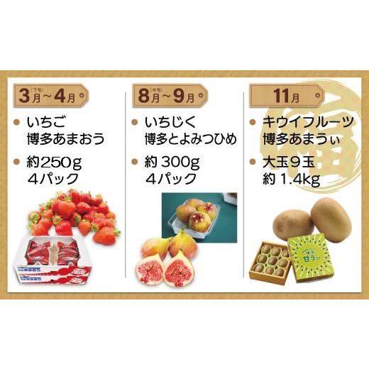 【年3回春夏秋】福岡ブランドフルーツ定期便（3～4・8～9・11月）【随時開始】[H5410]