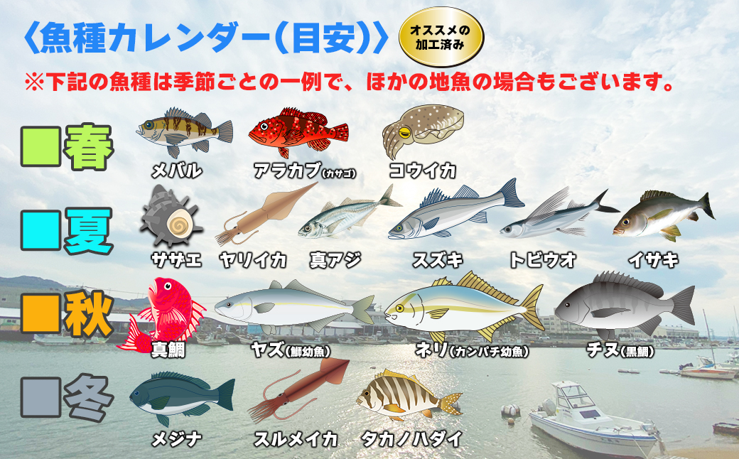 【年5回】お魚よかろうもん！玄界灘・福津の地魚お楽しみ定期便【冷凍】【随時開始】[H7015]