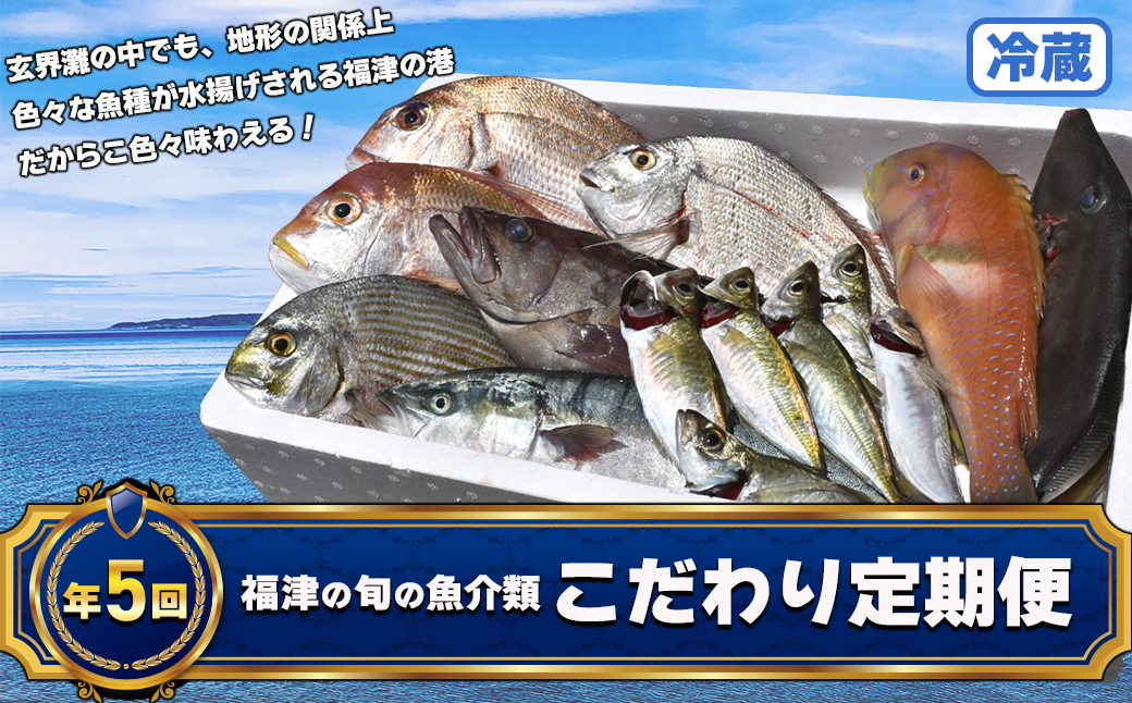【年5回】福津の旬の魚介類こだわり定期便【随時開始】[H7019]