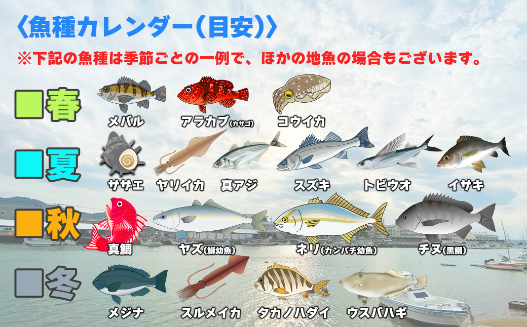 【年5回】福津の旬の魚介類こだわり定期便【随時開始】[H7019]