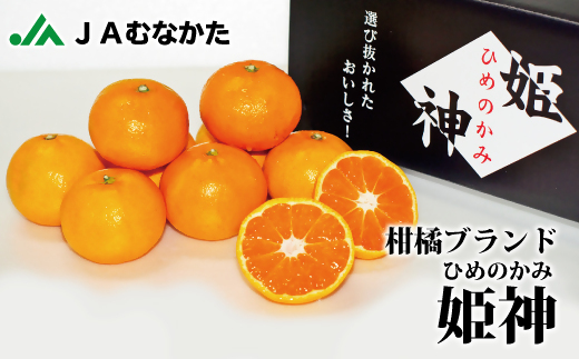 厳選！！むなかたの柑橘ブランド「姫の神」シリーズ【2025年1～3月出荷】約3kg[F2007]