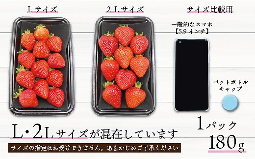 食べきりサイズ！博多あまおう４パック【2025年1月より順次】約720ｇ（2L～Lサイズ）[F2318]