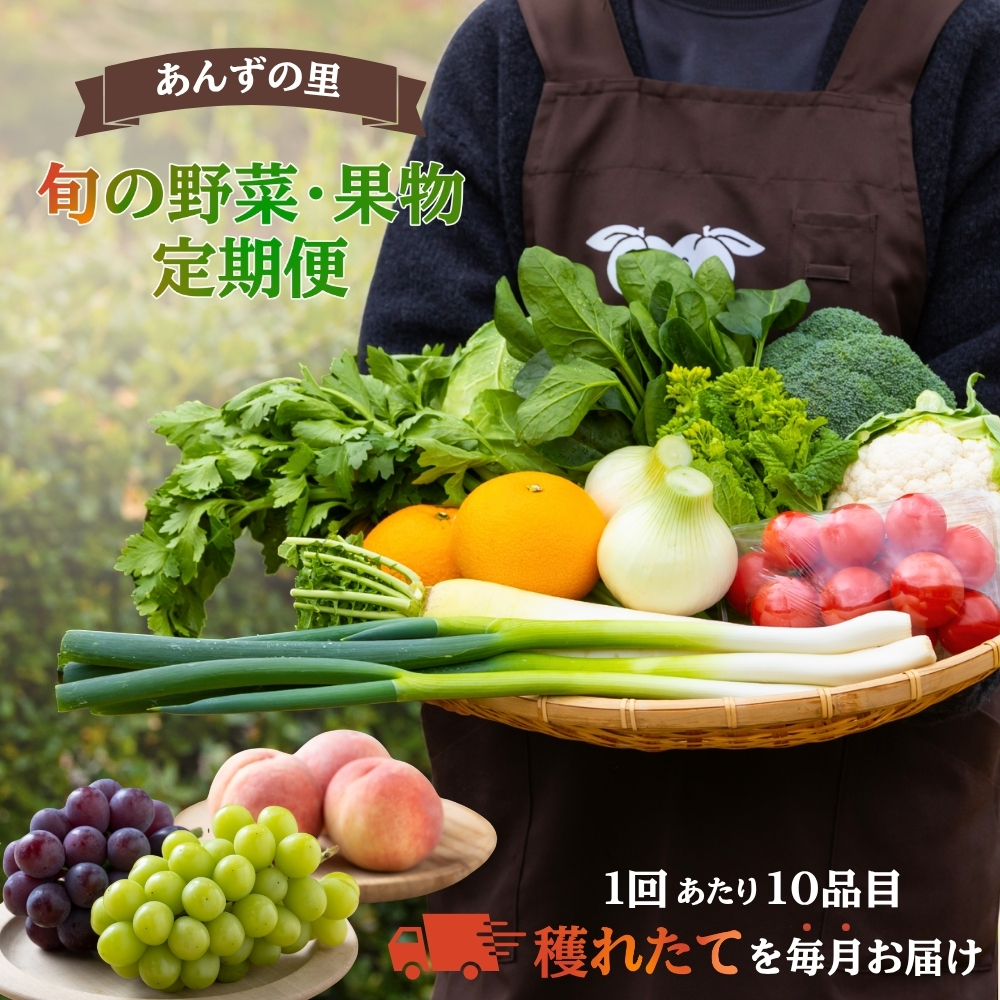 【年12回毎月】穫れたて!旬の野菜・果物定期便★あんずの里【随時開始】[G7010]