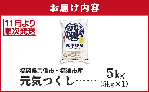 【令和7年産米】【2025年11月より順次発送】JAよりお届け！福岡県ブランド米「元気つくし」 5kg（5kg×1袋）[H2310b]