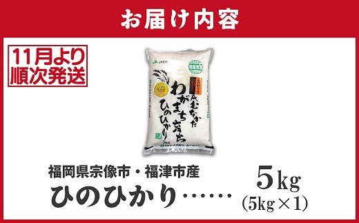 【令和7年産米】【2025年11月より順次発送】JAよりお届け！「ひのひかり」 5kg（5kg×1袋）[H2314a]