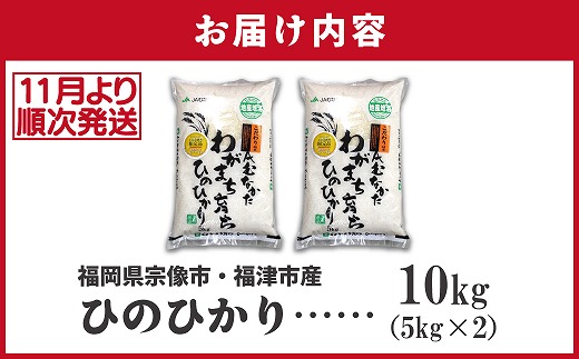 【令和7年産米】【2025年11月より順次発送】JAよりお届け！「ひのひかり」 10kg（5kg×2袋）[H2315]