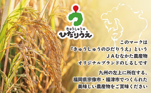 【米定期便】【年6回偶数月】【2027年2月発送開始】JAよりお届け！福岡県ブランド米「夢つくし」10kg（5kg×2袋）×6回 計60kg[H5062]