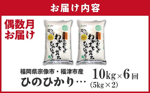 【米定期便】【年6回偶数月】【2027年2月発送開始】JAよりお届け！「ひのひかり」10kg（5kg×2袋）×6回 計60kg[H5102]