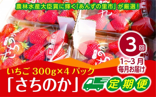 【2025年1月～3月発送】【3ヶ月定期便】「さちのか」いちご300g×4Pを3回お届け[F7007]