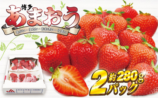 博多あまおう2パック【2025年2月より順次発送】約560g[F2242]