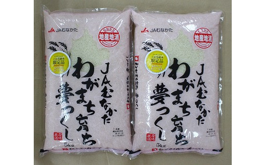 【福岡県産米】夢つくし10kg 令和6年産[F2234]