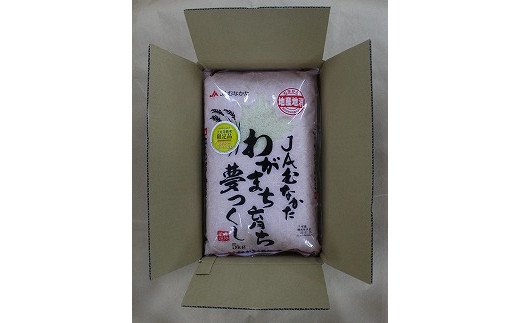 年6回偶数月★夢つくし5kg×6回 令和6年産【2月開始】[F5042]