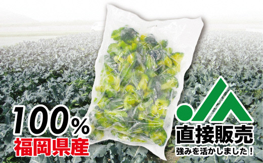 【福岡県産】冷凍ブロッコリー1kg（1kg×1袋）[F2256]