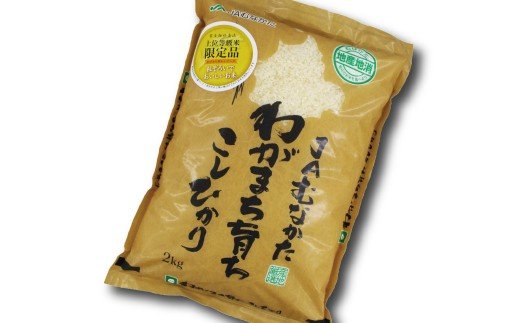 年6回偶数月★夢つくし＆コシヒカリ計4kg×6回 令和6年産【2月開始】[F5022]