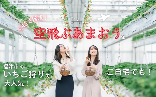 【2026年3月より順次発送】福津産『空飛ぶあまおう』約180g×6パック【スカイフローラファーム】[G0151]