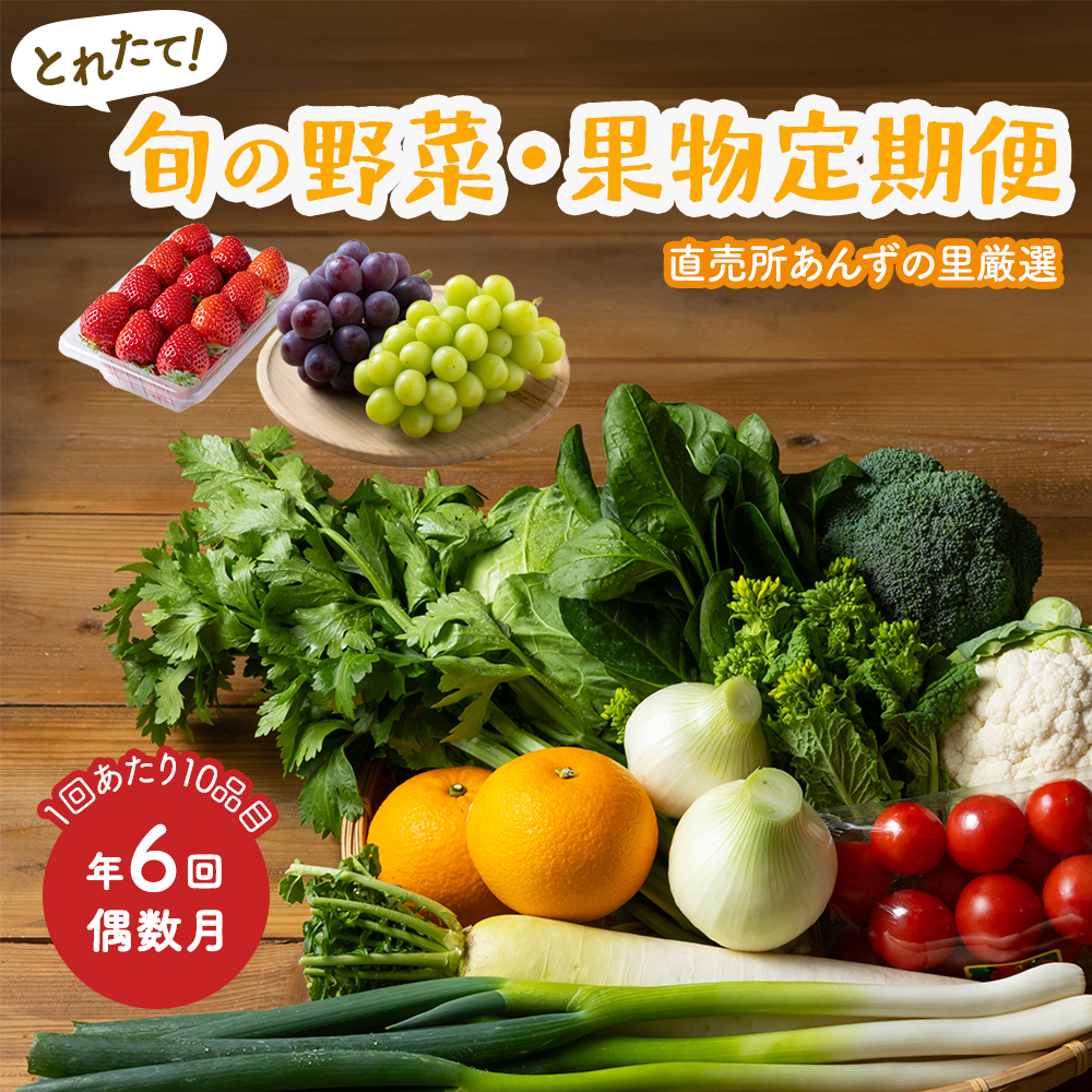 【年6回偶数月】穫れたて!旬の野菜・果物定期便★あんずの里【随時開始】[G7011]