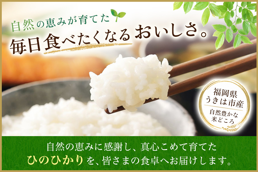 【3回定期便】【ふるさと納税】ひのひかり 米 お米  玄米  10kg  10キロ 福岡県産 うきは市 国産 精米 ご飯 ごはん おにぎり お弁当 人気 おすすめ 家庭用 送料無料 新米 ストック 厳選 農家直送 大容量【JA福岡くるめ にじの耳納の里】
