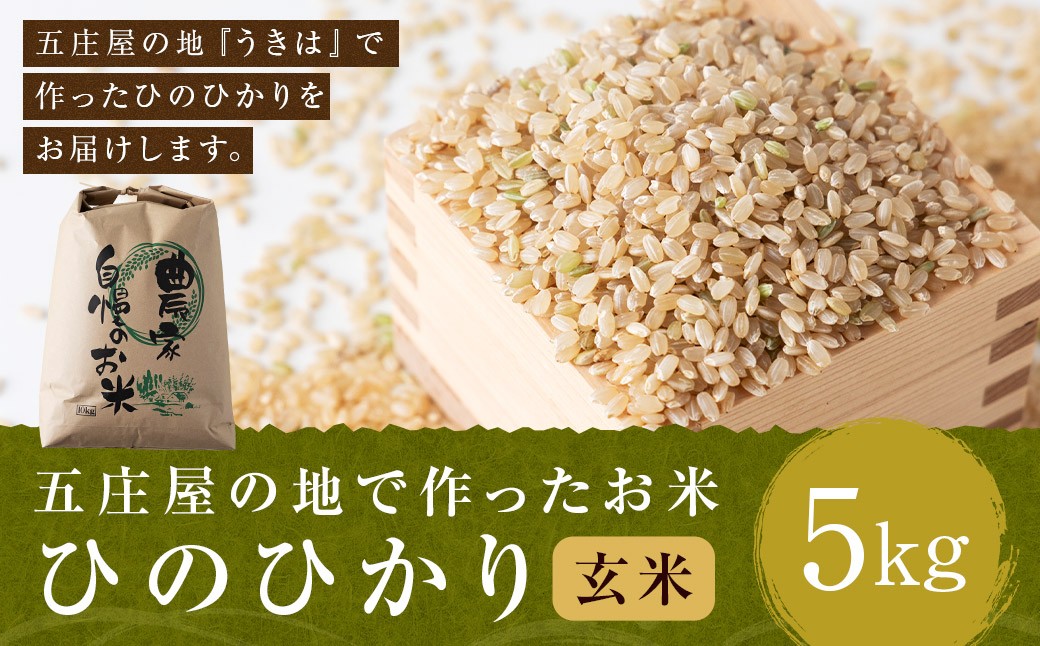 【特Aランク米】五庄屋の地で作ったお米 ひのひかり 玄米 (5kg) 【2025年10月下旬より順次発送予定】 ヒノヒカリ こめ コメ ごはん ご飯 福岡県うきは市産 九州産