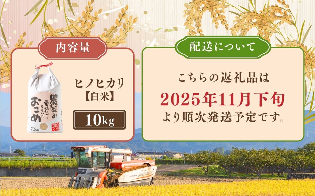 譌・豌ク蝨 繝偵ヮ繝偵き繝ェ 邇邀ウ10kg 縲2025蟷エ11譛井ク区流繧医j逋コ騾∽コ亥ョ壹 邀ウ 縺顔アウ 縺秘」ッ 縺縺阪ッ蟶