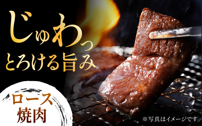 【6回定期便】食べ比べを楽しむ 焼肉用 博多和牛 赤身 ロース 計1kg【馬庵このみ】和牛 牛肉 食べ比べ 焼肉 焼肉用 赤身 ロース 霜降り 肉 定期便