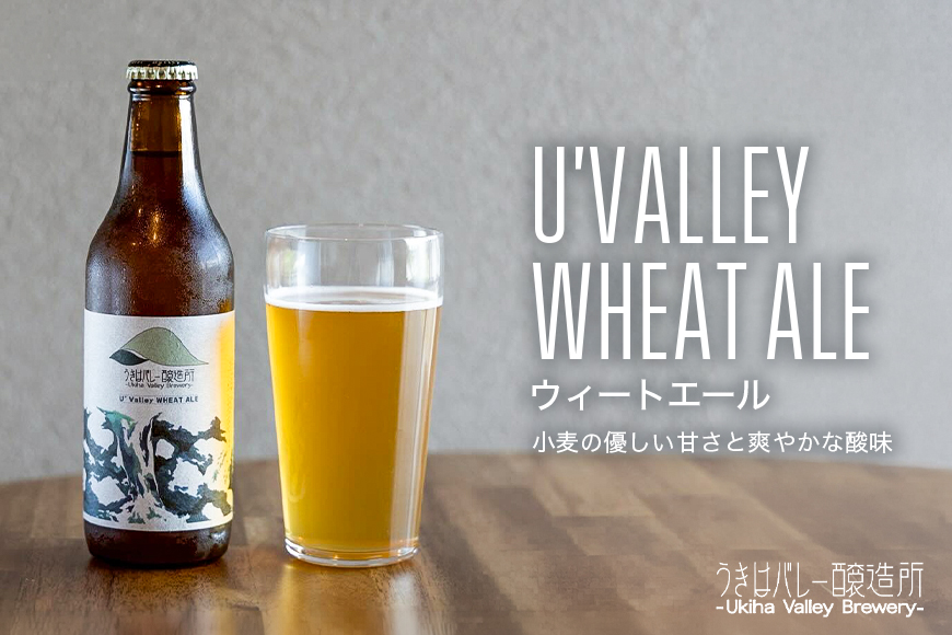 【ふるさと納税】クラフトビール 飲み比べ 4種 8本セット 地ビール ビール 瓶ビール お酒 ギフト 詰め合わせ プレゼント 家飲み お祝い お祝い返し 開店祝い 退職祝い 新築祝い おすすめ 国産 福岡県うきは市 エールビール 送料無料【株式会社うきはバレー醸造所】