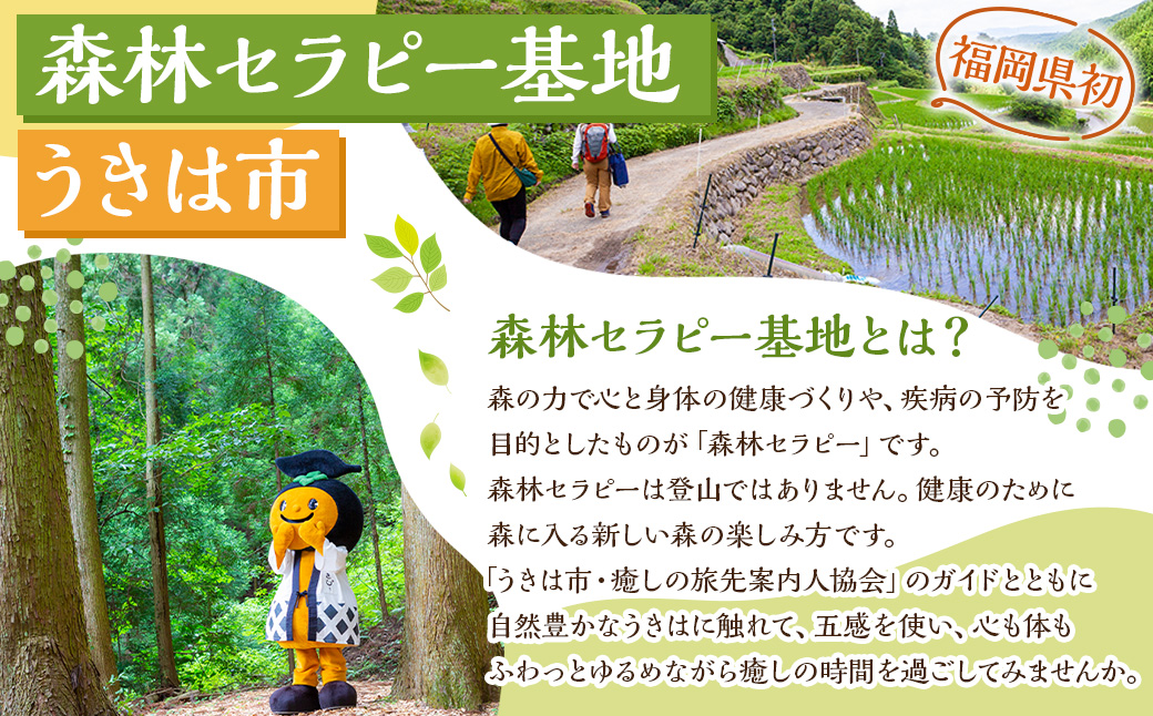 【参加型体験】リフレッシュ&デトックス 心癒されるうきはの森林セラピー ／ 癒やし リフレッシュ 森 うきは市