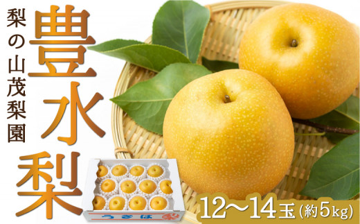 【先行予約】梨の山茂梨園 豊水梨12玉から14玉 (約5kg) 2025年8月下旬から9月上旬 出荷予定