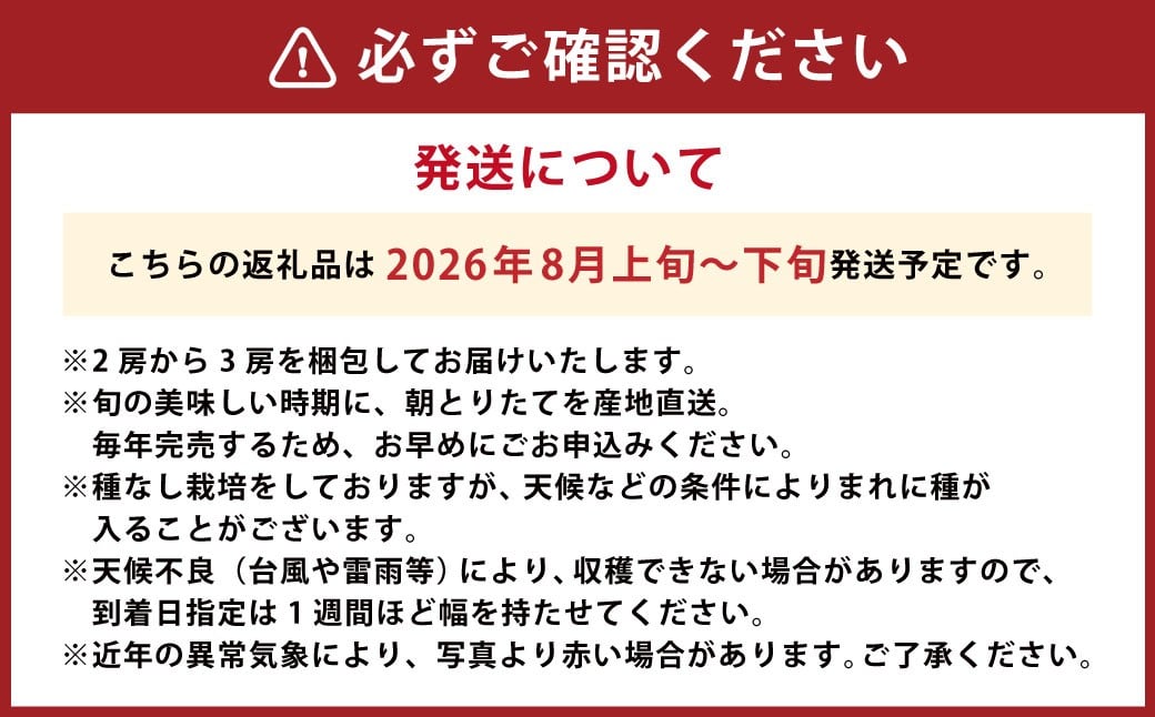【先行予約】 やりみず農園 種なし 巨峰 2房から3房（約1kg） 【2026年8月上旬～下旬発送予定】 種なし巨峰 ぶどう ブドウ 葡萄 くだもの 果物 フルーツ 果実 福岡県 うきは市