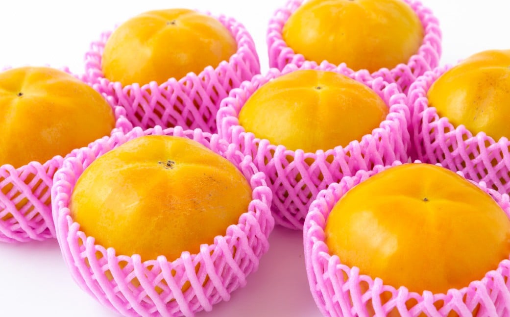 【先行予約】 西見柿農園 特選太秋柿 5玉から6玉 （約2kg） 贈答用 ギフト 【2026年11月上旬-12月上旬発送予定】 完熟柿 柿 かき カキ 太秋 たいしゅう 完全甘柿 果物 くだもの フルーツ 果実 ジューシー 樹上完熟 お取り寄せ 福岡県 うきは市