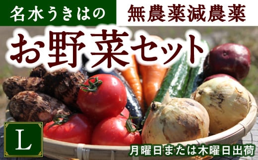 UIC 名水うきはの無農薬減農薬お野菜セットL