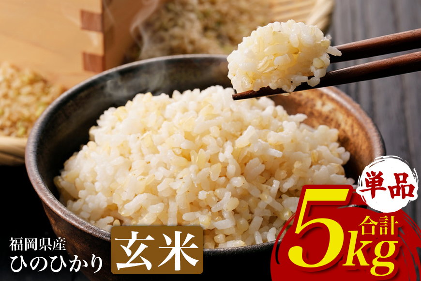 【ふるさと納税】ひのひかり 米 お米  玄米 5kg  5キロ 福岡県産 うきは市 国産 精米 ご飯 ごはん おにぎり お弁当 人気 おすすめ 家庭用 送料無料 新米 ストック 厳選 農家直送 大容量【JA福岡くるめ にじの耳納の里】