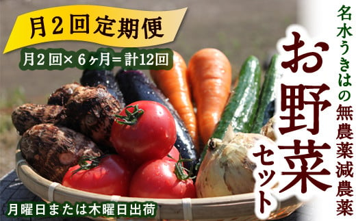  【月2回定期便】UIC 名水うきはの無農薬減農薬お野菜セット (ひと月2回×半年間=計12回)