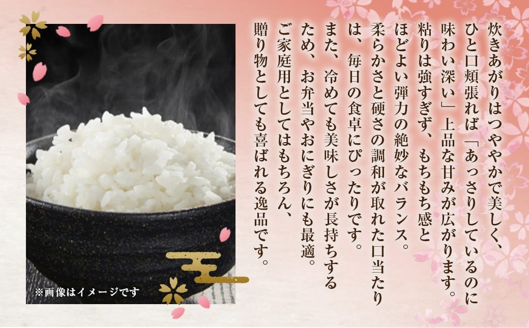 《令和7年産》 福岡県産 夢つくし 無洗米 10kg （5kg × 2袋） こめ コメ ごはん ご飯 コシヒカリ キヌヒカリ 白米 令和7年度米 単一原料米 ブランド米 福岡県 うきは市 常温