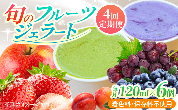 【年4回定期便】ソルベッチdoうきは ジェラート120ml×6個セット【ソルベッチdoうきは】着色料不使用 ノンホモ牛乳使用 ジェラート アイス 旬 スイーツ 詰め合わせ セット シャーベット ミルク フルーツ デザート 定期便