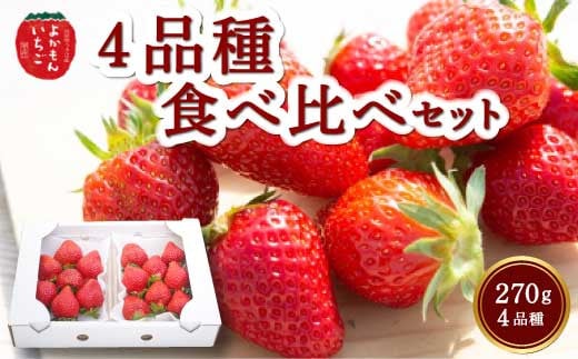 よかもんいちご ４品種食べ比べセット 2025年3月1日から3月31日 出荷予定