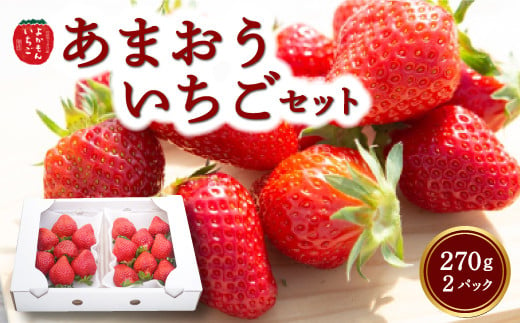 よかもんいちご あまおう苺セット2パック 2025年3月1日から3月31日 出荷予定