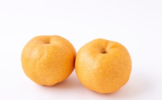 【先行予約】佐藤ファーム 愛宕梨 5玉から8玉(約5kg) 2025年11月上旬 出荷予定