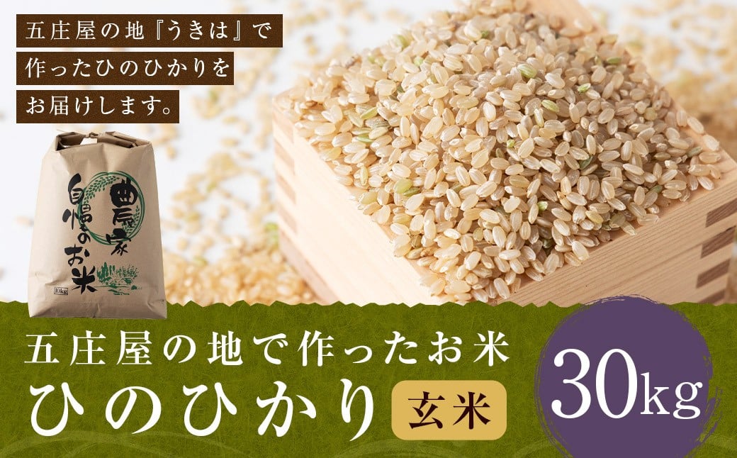【特Aランク米】五庄屋の地で作ったお米 ひのひかり 玄米 (30kg) 【2025年10月下旬より順次発送予定】 ヒノヒカリ こめ コメ ごはん ご飯 福岡県うきは市産 九州産