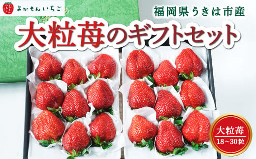  よかもんいちご 大粒苺のギフトセットB 2024年12月上旬から12月下旬 出荷予定