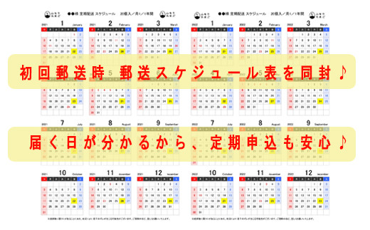 【月2回定期便】山もりたまご 40個 月2回 (2週に1回) 12ヶ月お届け