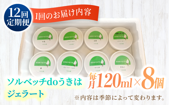 【12回定期便】果樹園が作る 素材の味を楽しめる 旬のジェラート 120ml×8個セット【ソルベッチdoうきは】着色料不使用 ノンホモ牛乳使用 ジェラート アイス 旬 スイーツ 詰め合わせ セット シャーベット ミルク フルーツ デザート 定期便